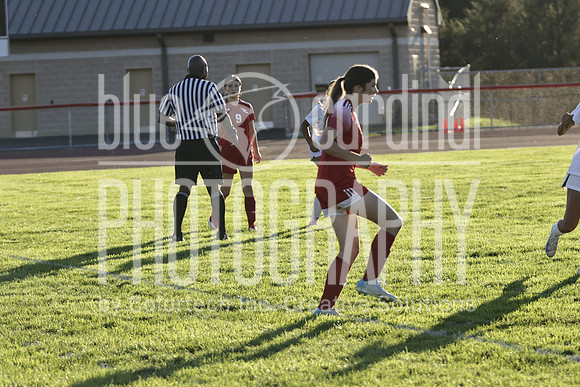 GDO 03102024_0141