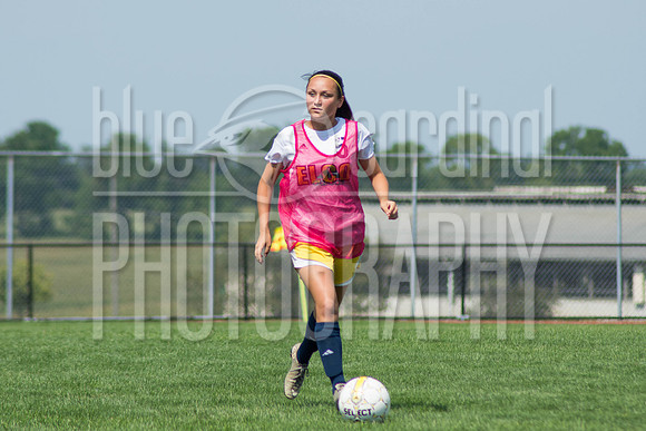 DMP_8691
