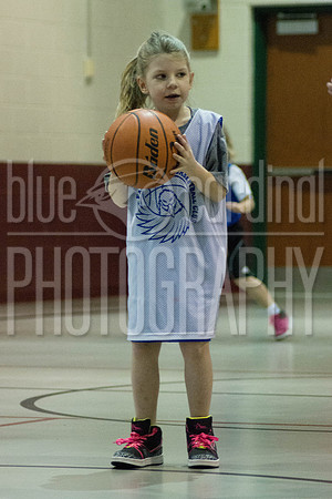 DMP_5795