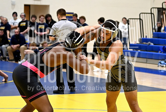 GFY-2015