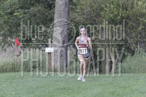 GDO_0916
