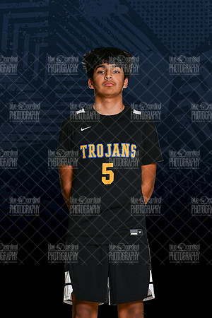 THS_0132