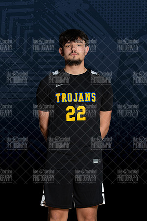 THS_0136