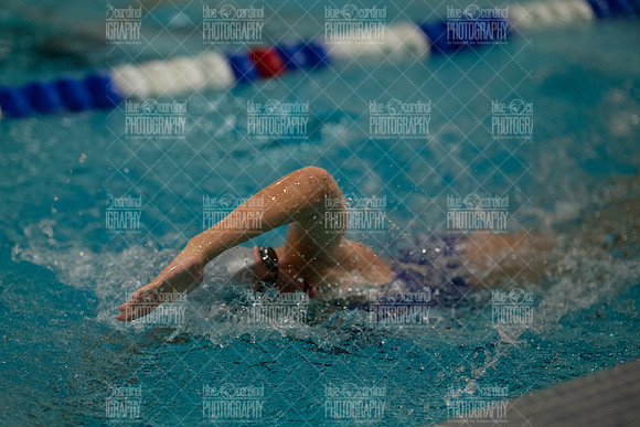 AGF_6009