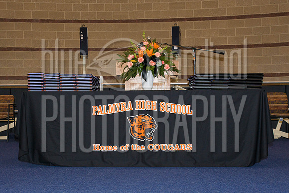 DMP_3365