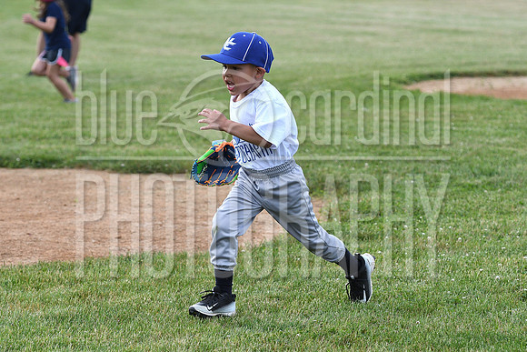 GFY_9212