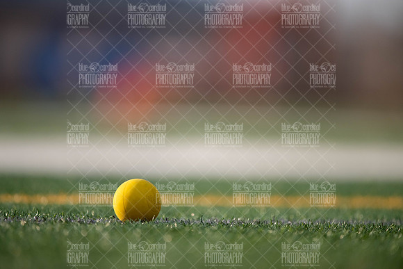 AGF_0056