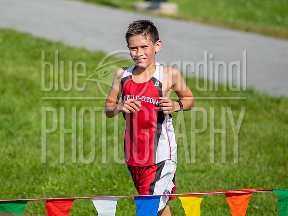 image-36