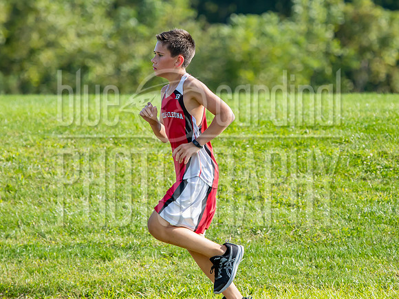 image-33