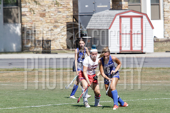 GDO_3874