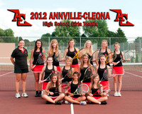 ACHS Girls Tennis Team & Individuals
