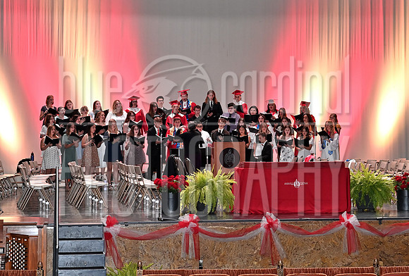GFY_5484