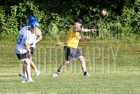 GFY_3356