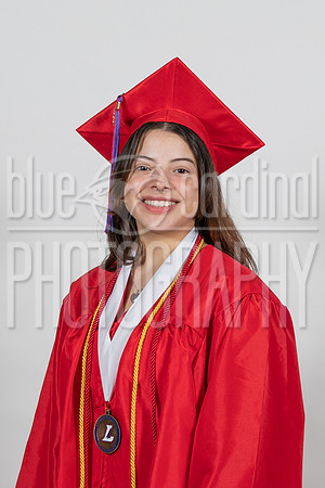 BCP_5290