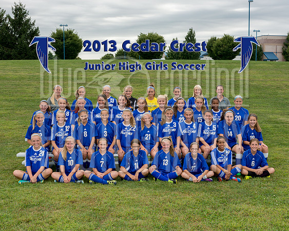 CAS_0919