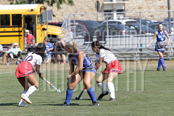GDO_3790