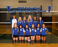 CCHS Girls Volleyball Team & Individuals