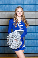 BCP_2014