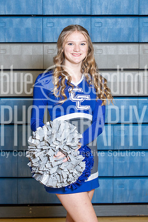 BCP_2014