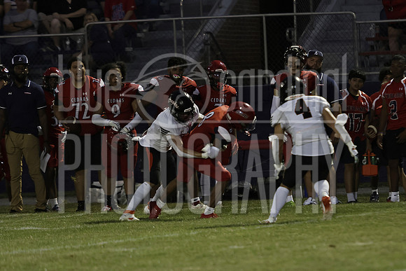 GDO_6803