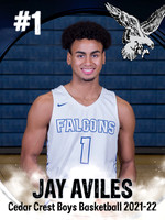 CCHS Boys Basketball Ind Banners4