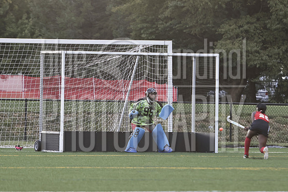 GDO_9953