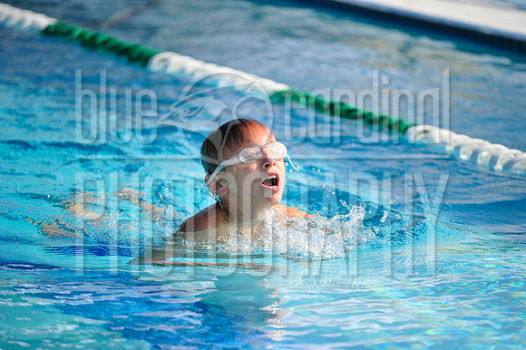 _D3S2338