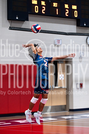 BCP_2339