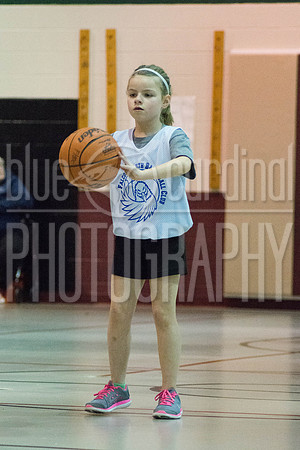 DMP_5643