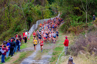 GFY_6174