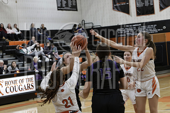 GDO_3308
