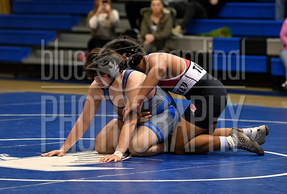 GFY_1531