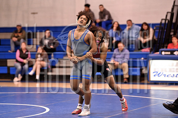 GFY_1683