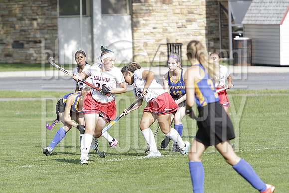 GDO_8768