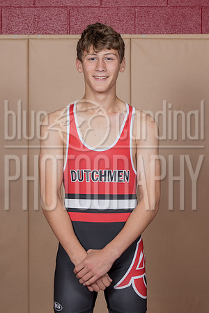BCP_2010