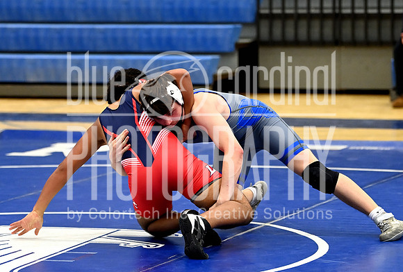 GFY_1482