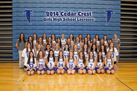 CCHS Girls Lacrosse Team & Individuals 2014