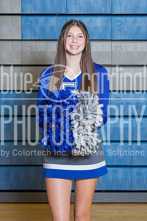 BCP_2012