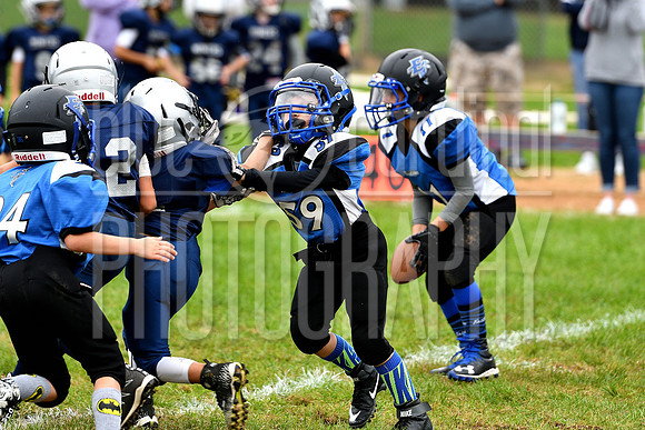 GFY_7968