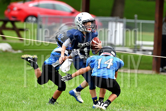GFY_8329