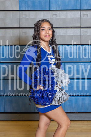 BCP_2019