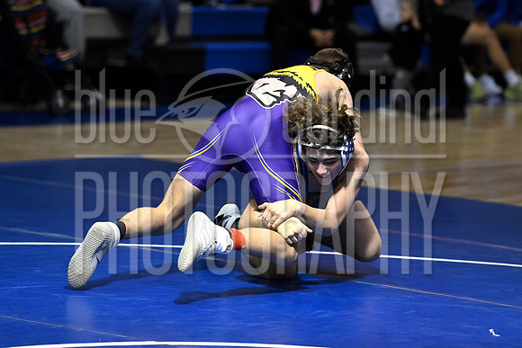 GFY_5858