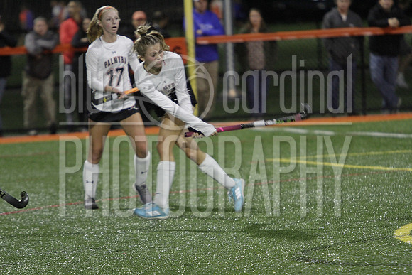 GDO_4536