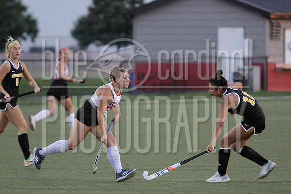 GDO_1013