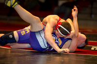 _D3S3006