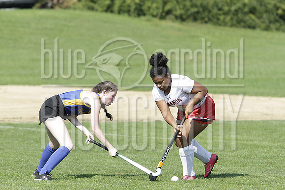 GDO_8971