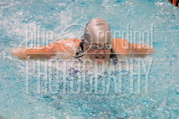 DMP_7365