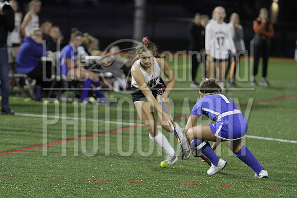 GDO_4460