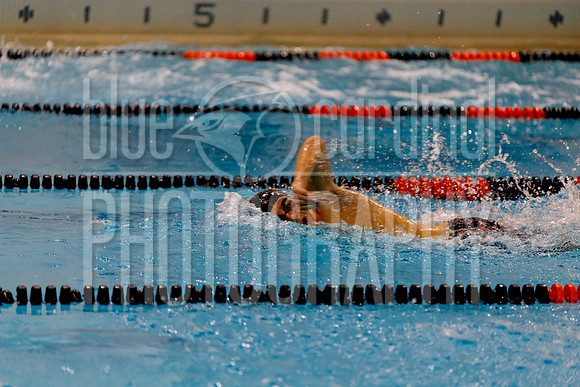 12-7-2018 PHS Swimming-118
