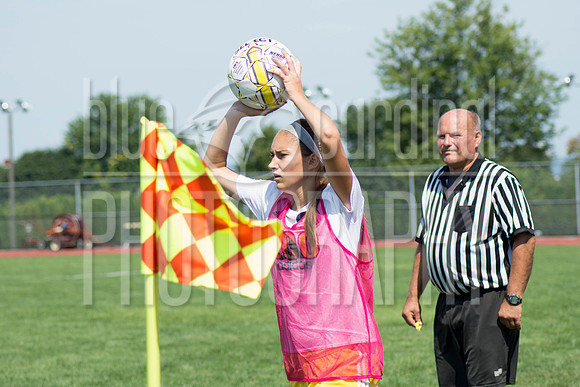 DMP_8573